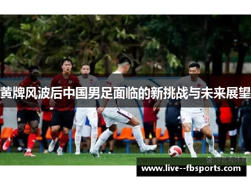 黄牌风波后中国男足面临的新挑战与未来展望
